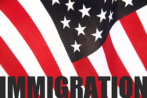 Immigration and the US House candidate