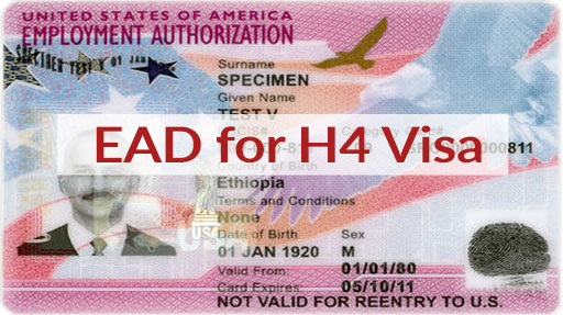 Spouses of H-1B Visa Holders Might Be Ineligible For a Work Permit 1 ead h4visa