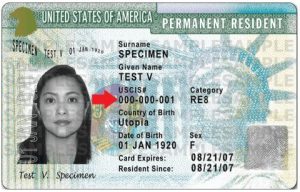 What And Where Is The Alien Registration Number (A-Number)?